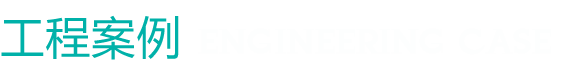 企業(yè)案例標(biāo)題